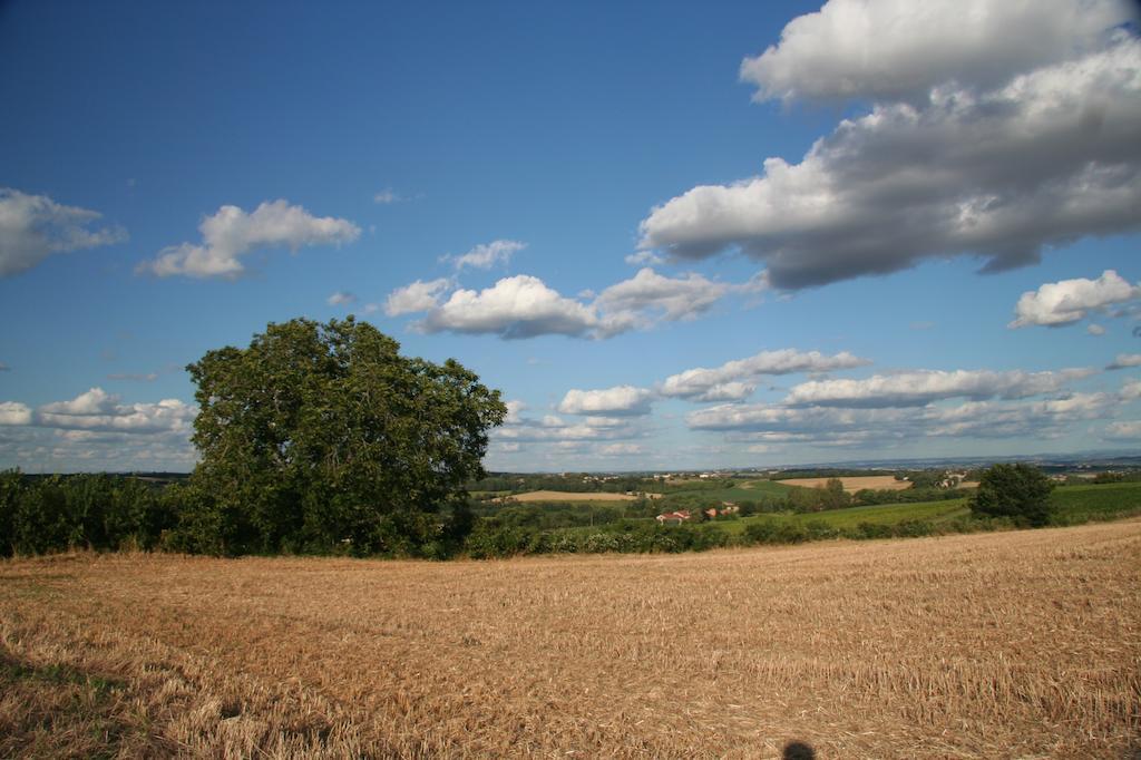 Puechblanc Gîtes et Chambre d'hôte dans le Triangle d'or Gaillac-Albi-Cordes sur Ciel Fayssac Exterior foto