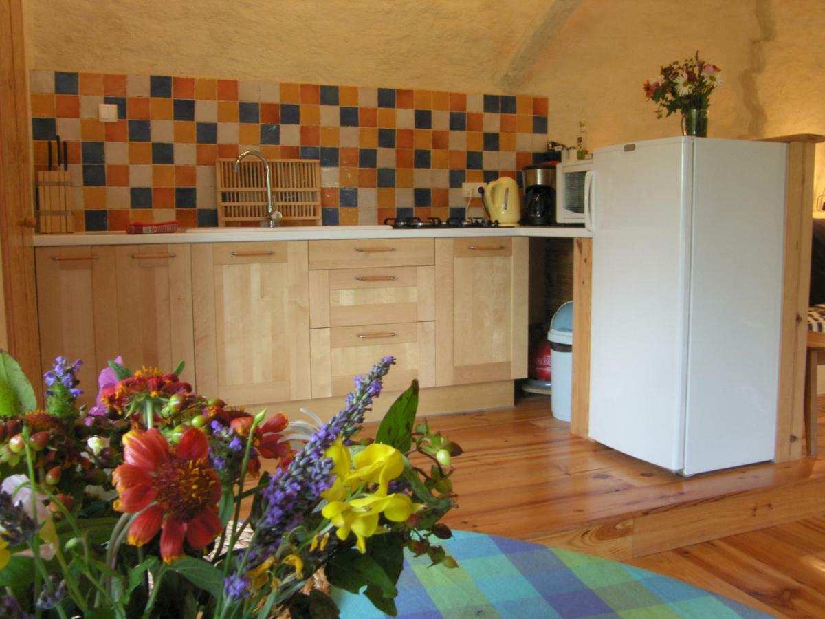 Puechblanc Gîtes et Chambre d'hôte dans le Triangle d'or Gaillac-Albi-Cordes sur Ciel Fayssac Exterior foto